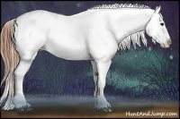 Horse Color:Black Splash Varnish  Brindle