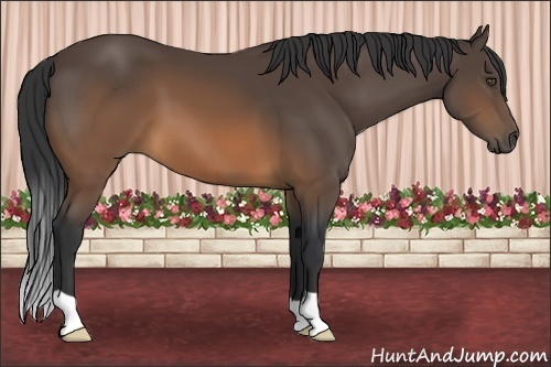 Horse Color:Brown 