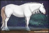 Horse Color:Black Splash Appaloosa  Brindle