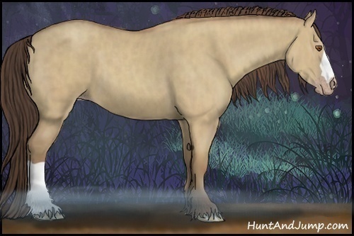 Horse Color:Classic Champagne Dun Brindle