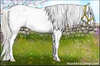 Horse Color:White Spotted Silver Bay Splash Appaloosa 