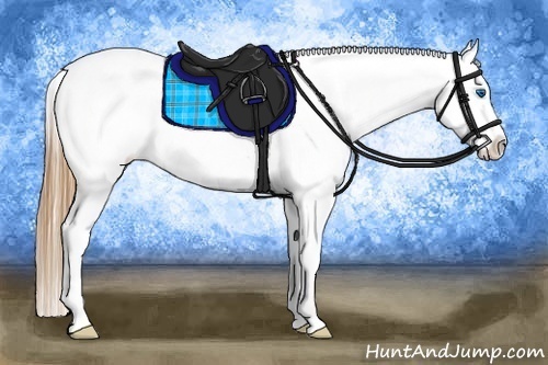 Horse Color:Smoky Grullo Splash Tobiano Blanket
