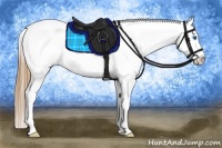Horse Color:Smoky Grullo Splash Tobiano Blanket 