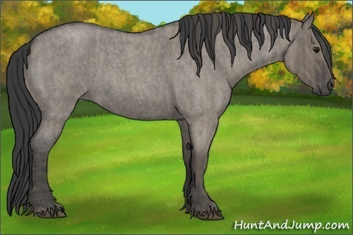 Horse Color:Smoky Grullo Roan  Brindle