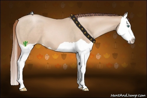 Horse Color:Smoky Black Pearl Splash 