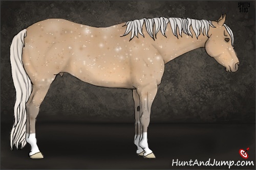 Horse Color:Silver Buckskin 