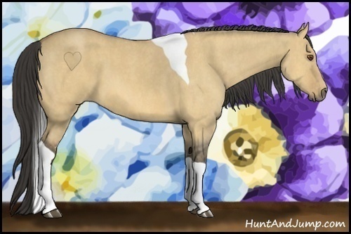 Horse Color:Buckskin Roan Dun Tobiano  Brindle