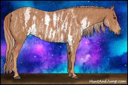 Horse Color:White Spotted Chestnut  Brindle