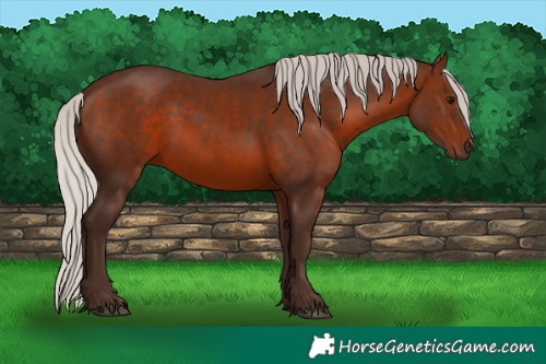 Horse Color:Silver Brown 