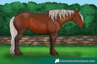 Horse Color:Silver Brown 