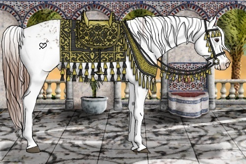 Horse Color:White Spotted Chestnut Ice  and White Spotted Chestnut Ice 