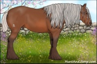 Horse Color:Silver Bay 