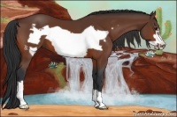 Horse Color:Bay Frame