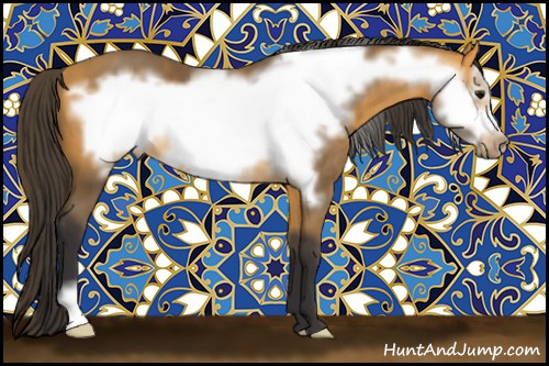 Horse Color:Buckskin Frame 