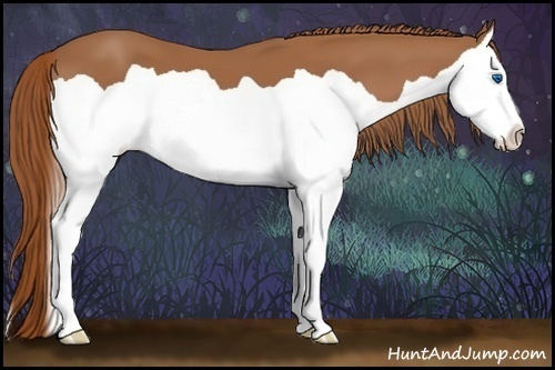 Horse Color:Chestnut Splash 