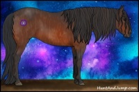 Horse Color:Bay  Brindle