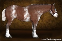 Horse Color:White Spotted Silver Bay Splash 