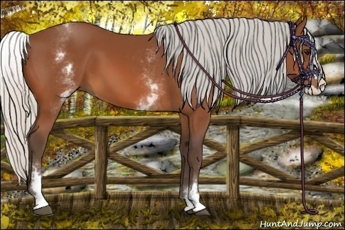 Horse Color:White Spotted Silver Bay Splash 