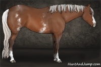 Horse Color:White Spotted Silver Bay Splash 