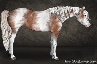 Horse Color:White Spotted Silver Bay Splash 