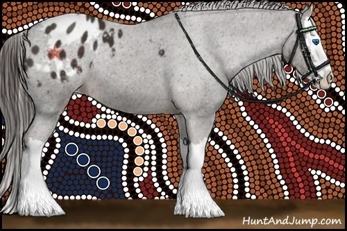 Horse Color:Liver Chestnut Splash Appaloosa