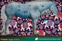 Horse Color:ERROR: UNKNOWN ANOMALY Brindle