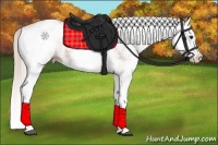 Horse Color:White Spotted Silver Bay Splash 