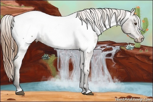 Horse Color:Buckskin Near Fewspot