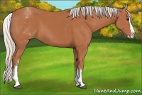 Horse Color:White Spotted Silver Bay Splash