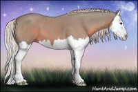 Horse Color:Watercolor Silver Black Splash 