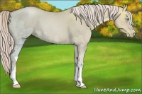 Horse Color:Chocolate Palomino Ice Pearl
