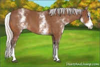 Horse Color:White Spotted Silver Bay Splash 