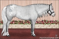 Horse Color:Silver Blue Chinchilla Roan Varnish 