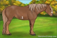 Horse Color:Chestnut Frame