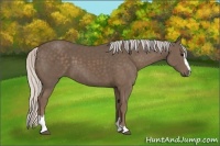 Horse Color:Silver Black Sabino 