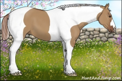 Horse Color:Red Dun Tobiano