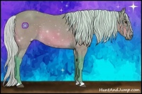 Horse Color:Watercolor Silver Bay 