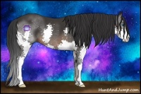 Horse Color:Brown Splash