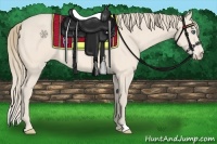 Horse Color:Perlino 