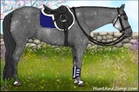 Horse Color:Blue Roan Frame Rabicano
