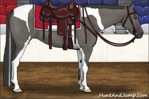 Horse Color:Grullo Tobiano