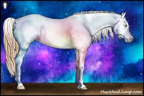 Horse Color:Gold Champagne Roan Dun Splash Tobiano Frame Blanket Rabicano