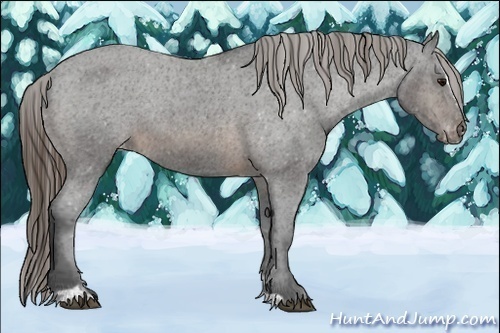Horse Color:Buckskin Sabino Varnish Rabicano 