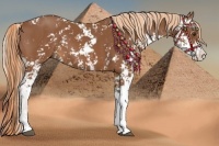 Horse Color:Chestnut Sabino