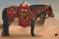Horse Color:Bay Sabino 