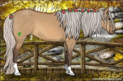 Horse Color:Silver Bay Dun