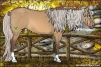 Horse Color:Silver Bay Dun