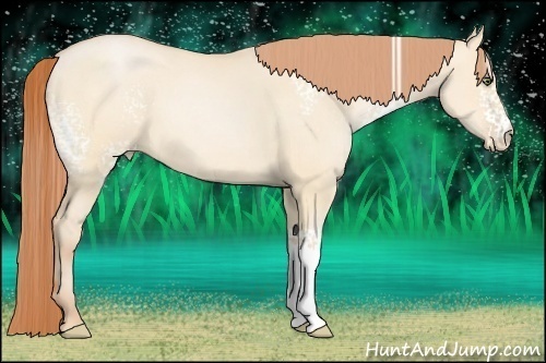Horse Color:White Spotted Buckskin Pearl Dun 