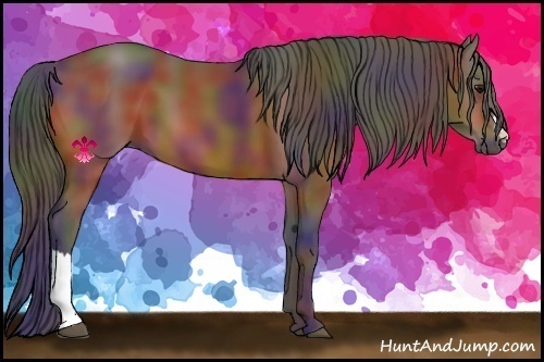 Horse Color:Nacre Bay 