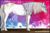 Horse Color:Nacre Silver Sable Cream Champagne Dun Splash Appaloosa 